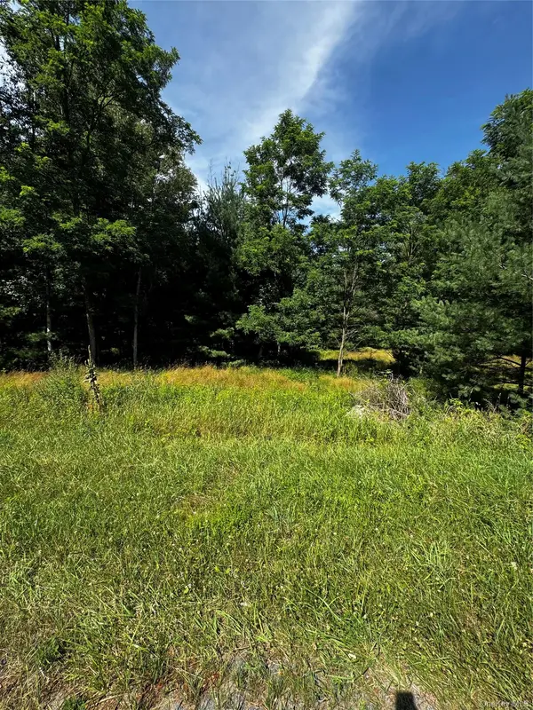 Ulster Heights RD, Fallsburg, NY 12733