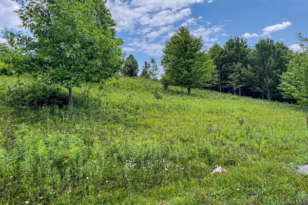 Lot 23 Lynch RD, Delhi, NY 13753