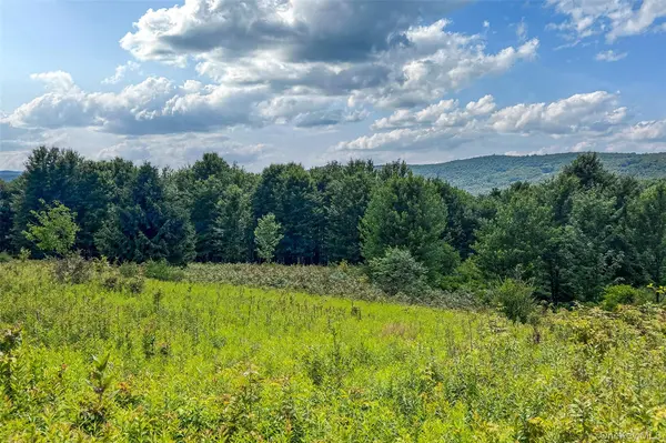 Lot 23 Lynch RD, Delhi, NY 13753