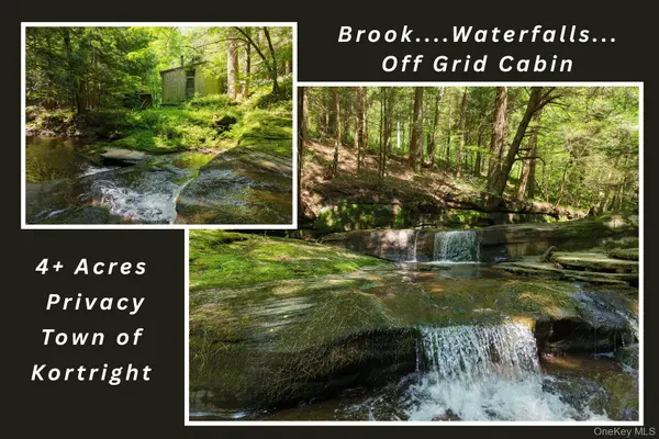 Lot 35 Webster Brook Road, Bloomville, NY 13842