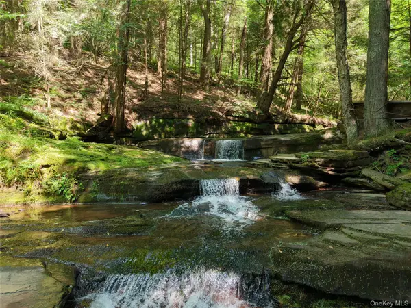 Lot 35 Webster Brook Road, Bloomville, NY 13842