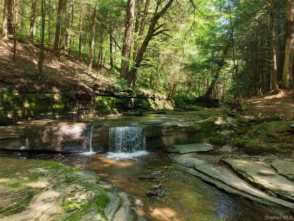 Lot 35 Webster Brook Road, Bloomville, NY 13842