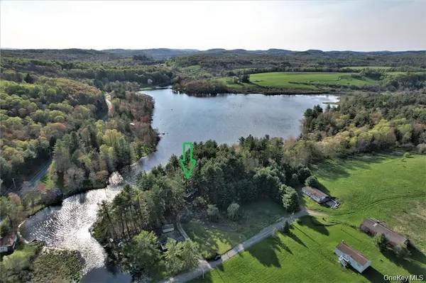 25 George Segar RD, Swan Lake, NY 12783