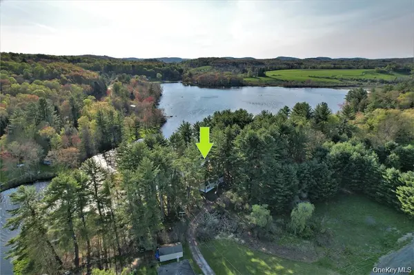 25 George Segar RD, Swan Lake, NY 12783
