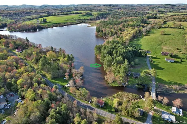 25 George Segar RD, Swan Lake, NY 12783
