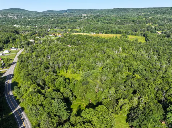LOT 3 Neversink RD, Liberty, NY 12754