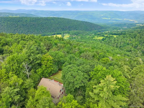 415 High Pine Meadows Rd, Middleburgh NY RD, Call Listing Agent, NY 12122