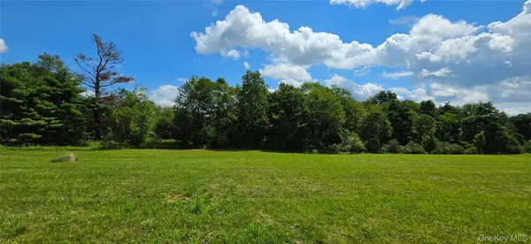 Lots 4 & 5 Dr. Duggan RD, Bethel, NY 12720
