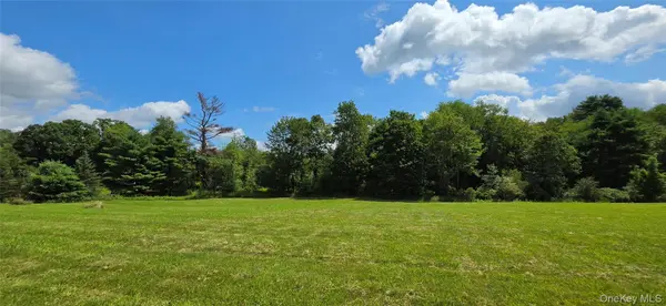 Lots 4 & 5 Dr. Duggan RD, Bethel, NY 12720