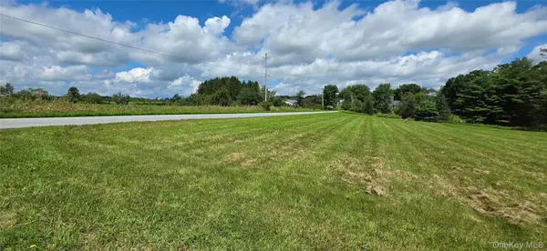 Lots 4 & 5 Dr. Duggan RD, Bethel, NY 12720