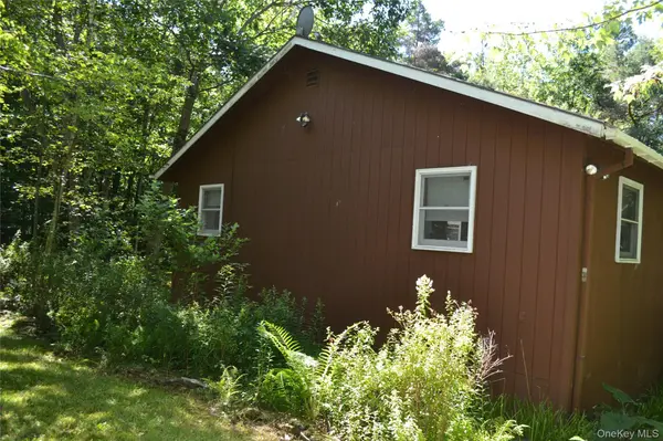 3897 Campbell Mountain RD, Downsville, NY 13755