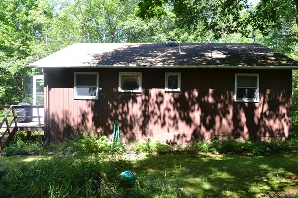 3897 Campbell Mountain RD, Downsville, NY 13755
