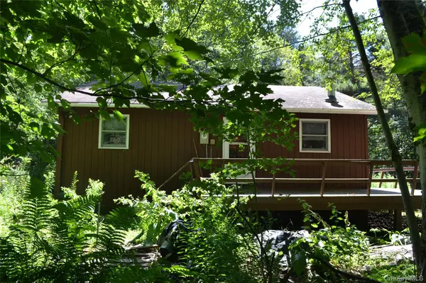 3897 Campbell Mountain RD, Downsville, NY 13755