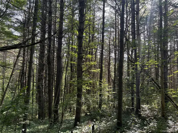 Crescent RD, Gilboa, NY 12076