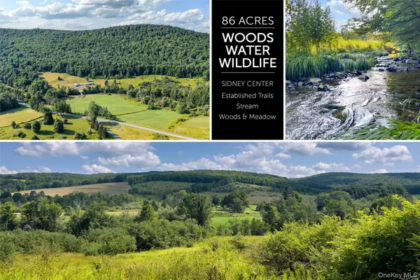 Lot #11 Franklin Depot RD, Sidney, NY 13838