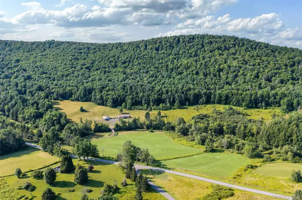 Lot #11 Franklin Depot RD, Sidney, NY 13838