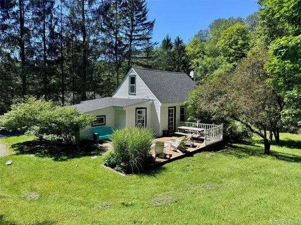 60 Alder Creek RD, Livingston Manor, NY 12758