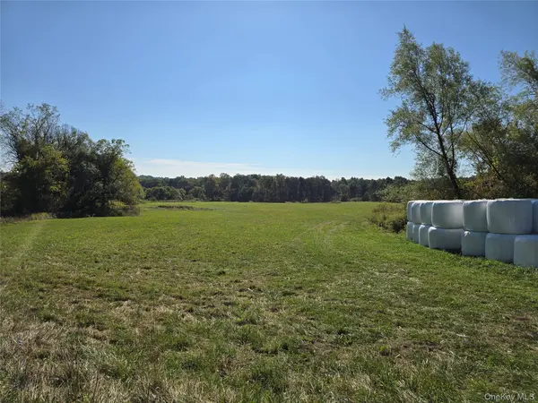 171 Winterton RD, Bloomingburg, NY 12721