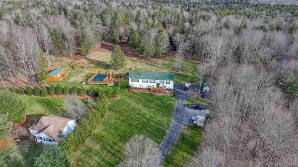 226 Big Woods Road, Harris, NY 12742