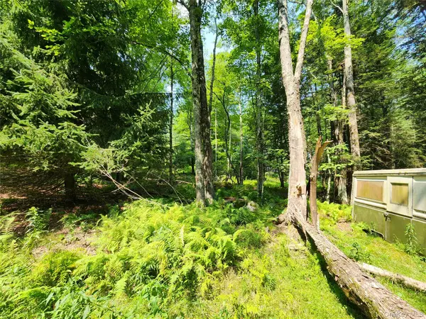 Soule RD, Bethel, NY 12720
