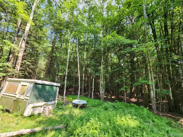 Soule RD, Bethel, NY 12720