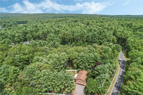 2 Hollowaty Kosak RD, Glen Spey, NY 12737