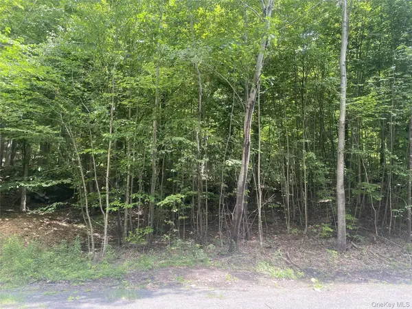 140 Arbor RD, West Kill, NY 12452