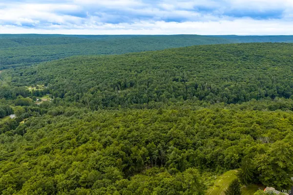 Lot 1.2 High RD, Glen Spey, NY 12737