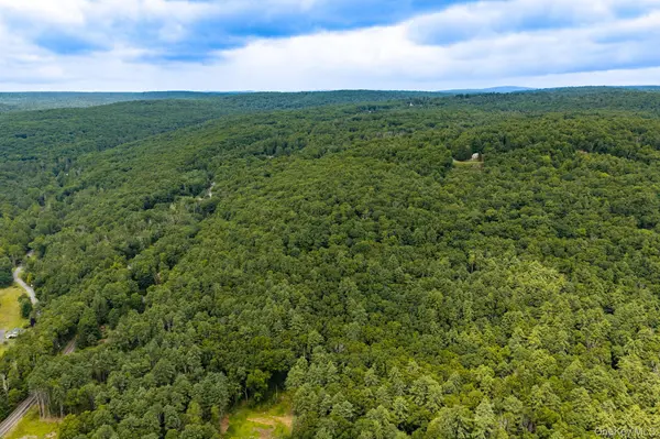 Lot 1.2 High RD, Glen Spey, NY 12737