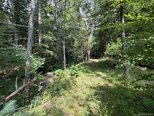 Route 209, Wawarsing, NY 12489