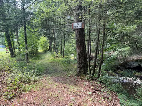Route 209, Wawarsing, NY 12489