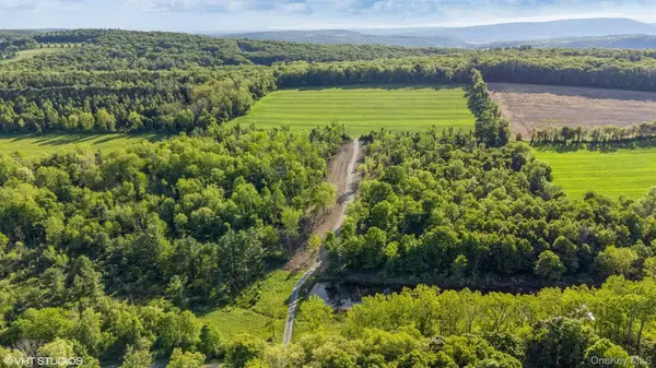 SKUNKS MISERY Lot 1 RD, Millerton, NY 12546