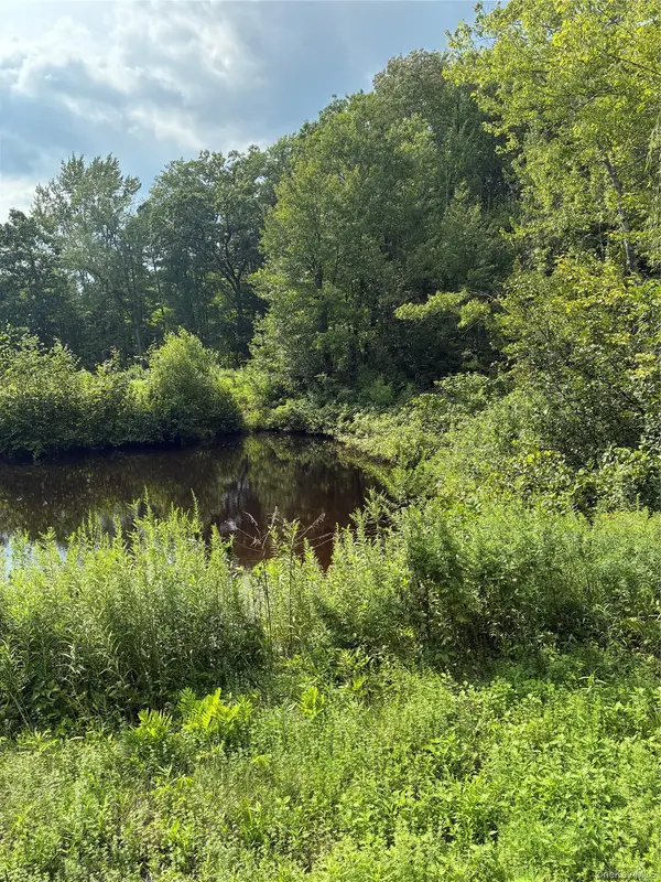 207 Pleasantvale RD, Tivoli, NY 12583