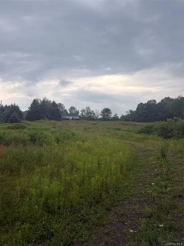 5092 Dryden RD, Walton, NY 13856