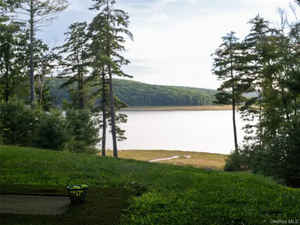 60 Top Ridge TRL, White Lake, NY 12786