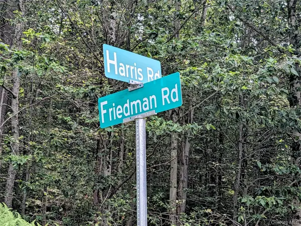 Harris RD, Harris, NY 12742