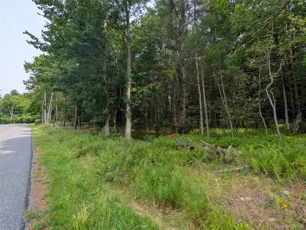 Harris RD, Harris, NY 12742