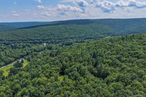 Lot 55.1 Swanerbury RD, Glen Spey, NY 12737