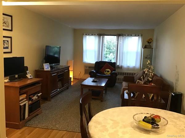 6 Birchwood CT #4B, Mineola, NY 11501