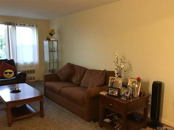 6 Birchwood CT #4B, Mineola, NY 11501