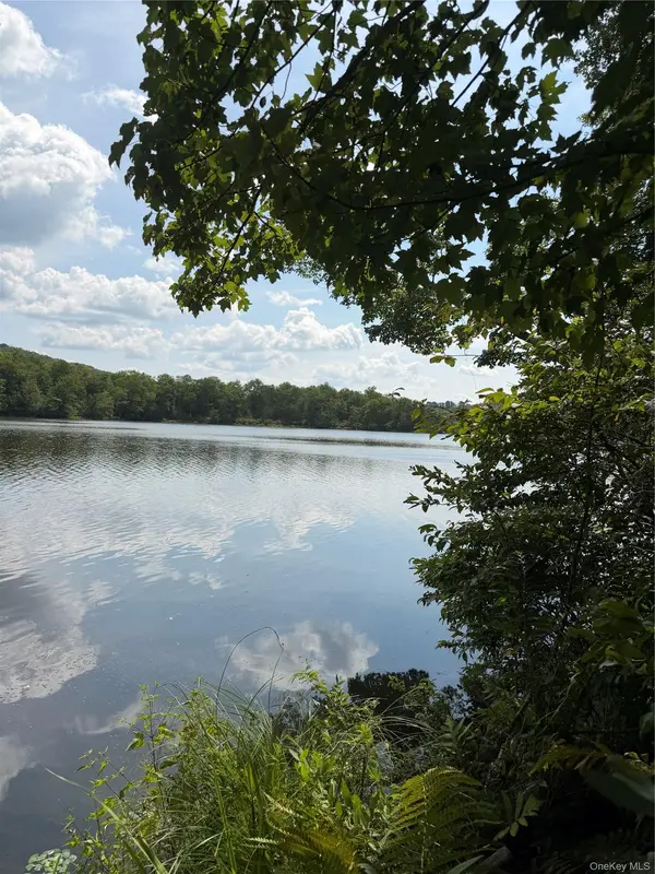 Shore Rd, Swan Lake, NY 12783