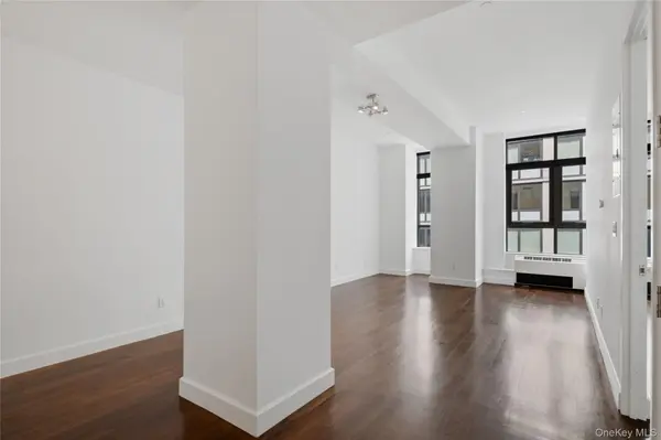 2-17 51st Avenue #419, Long Island City, NY 11101