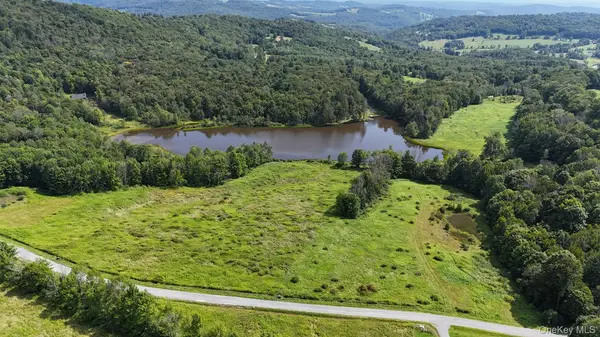 Waterfront Lot 15 Meadow LN, Fremont Center, NY 12736