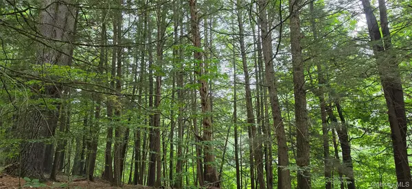 Lot 6 NYS 52, Narrowsburg, NY 12764