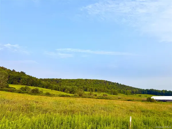 299 WALT PHILLIPS, Call Listing Agent, NY 13460