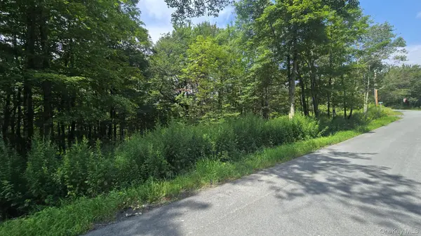 Knickerbocker RD, Livingston Manor, NY 12758