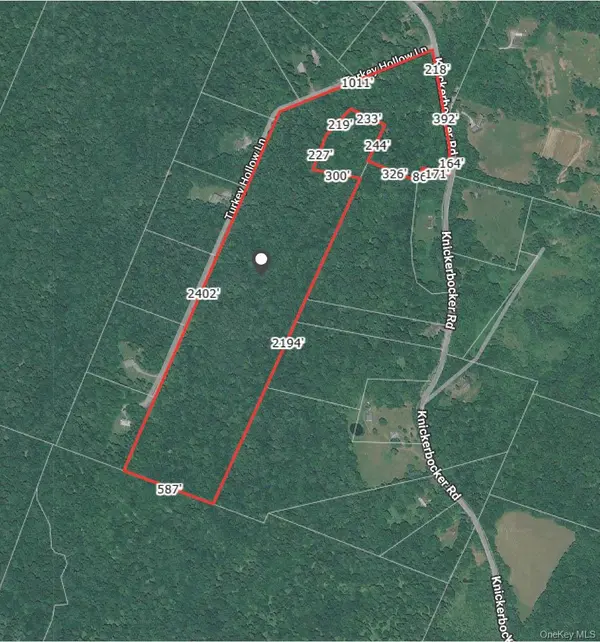Knickerbocker RD, Livingston Manor, NY 12758