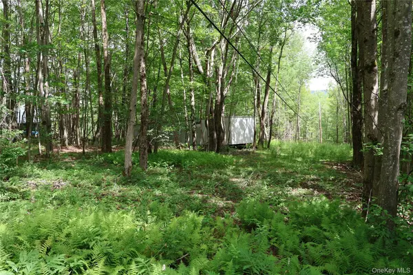 7401 Millbrook RD, Arkville, NY 12406