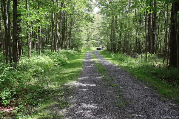 7401 Millbrook RD, Arkville, NY 12406