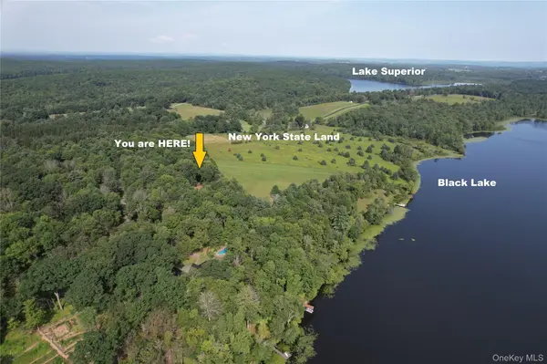 74 Oxford DR, White Lake, NY 12786